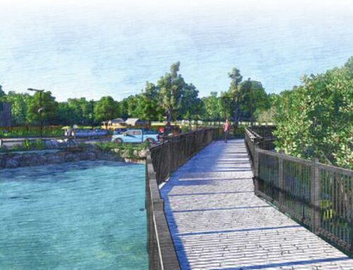 Weinam Creek PDA Update March 2020