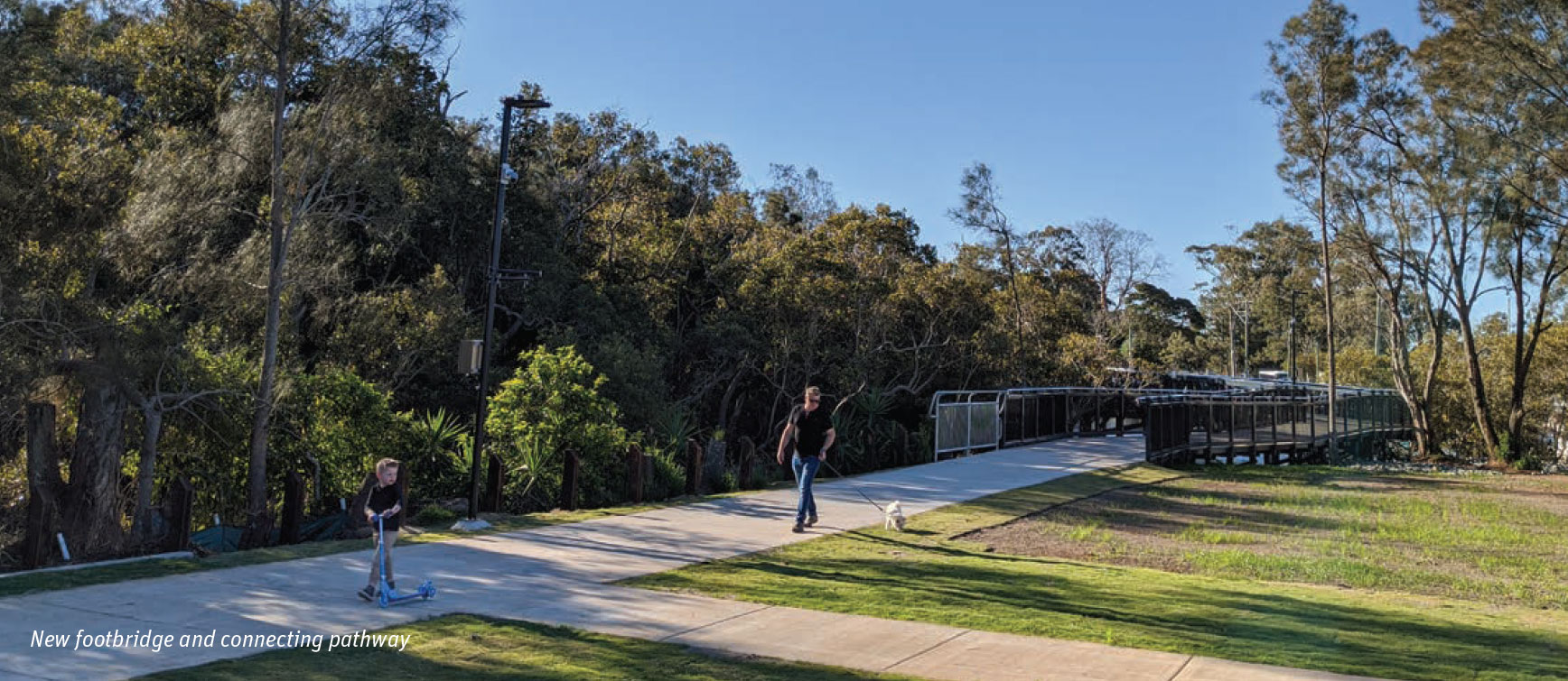 weinam-creek-footbridge